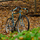 Image for article titled I Have A Bike Thought So Tedious I Am Compelled To Share It With You